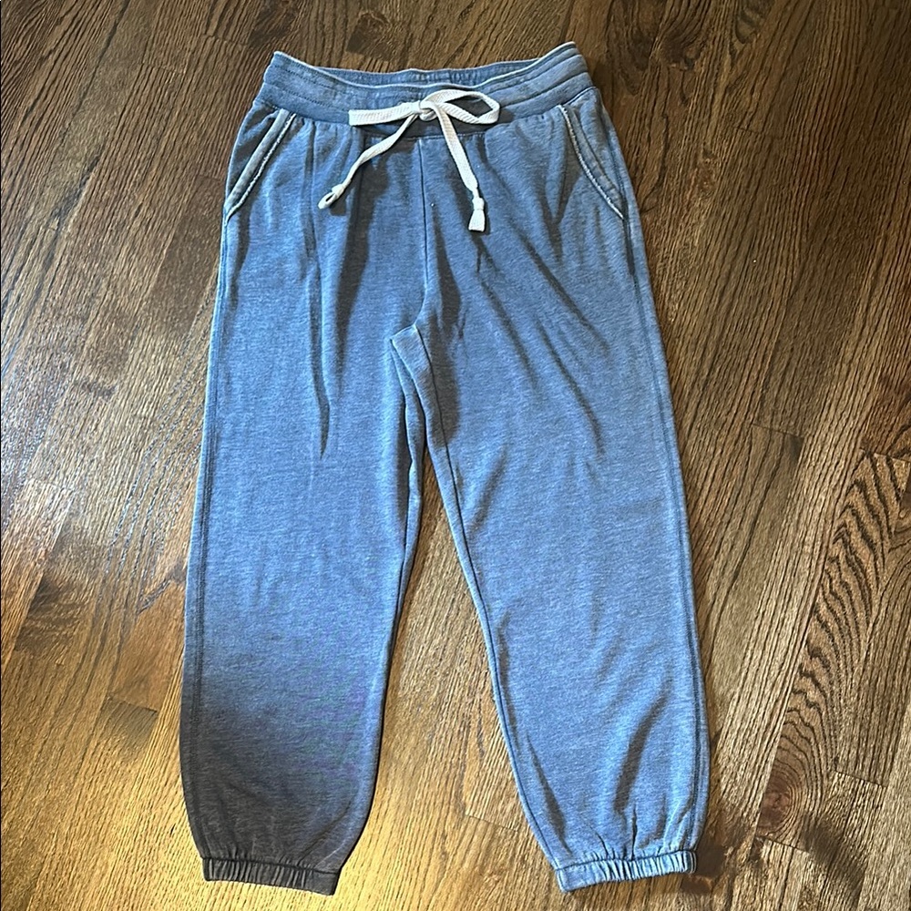Women’s Anthropology XS Blue Gray Jogger Pants